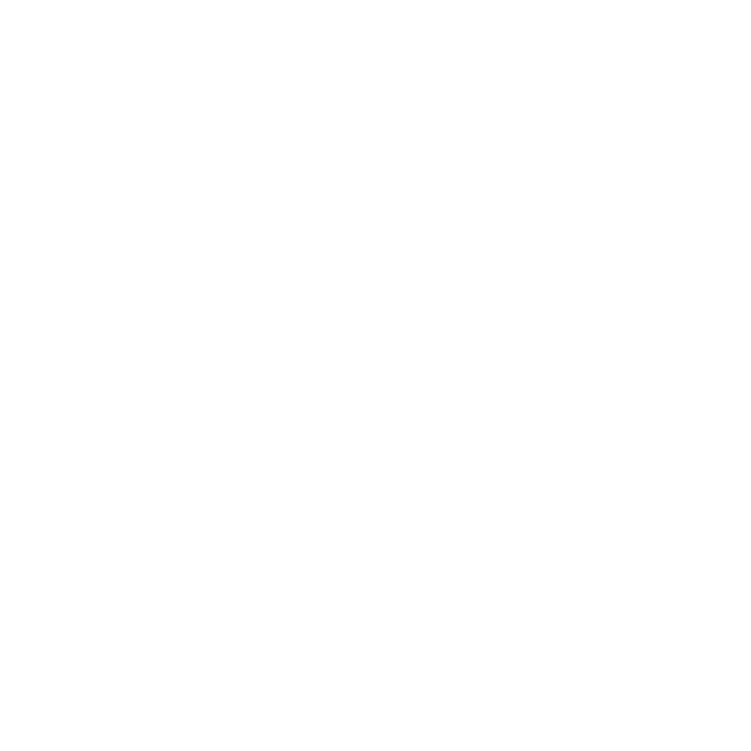 Staci Americas